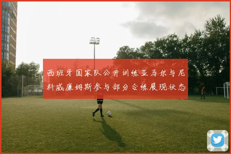 西班牙国家队公开训练亚马尔与尼科威廉姆斯参与部分合练展现状态